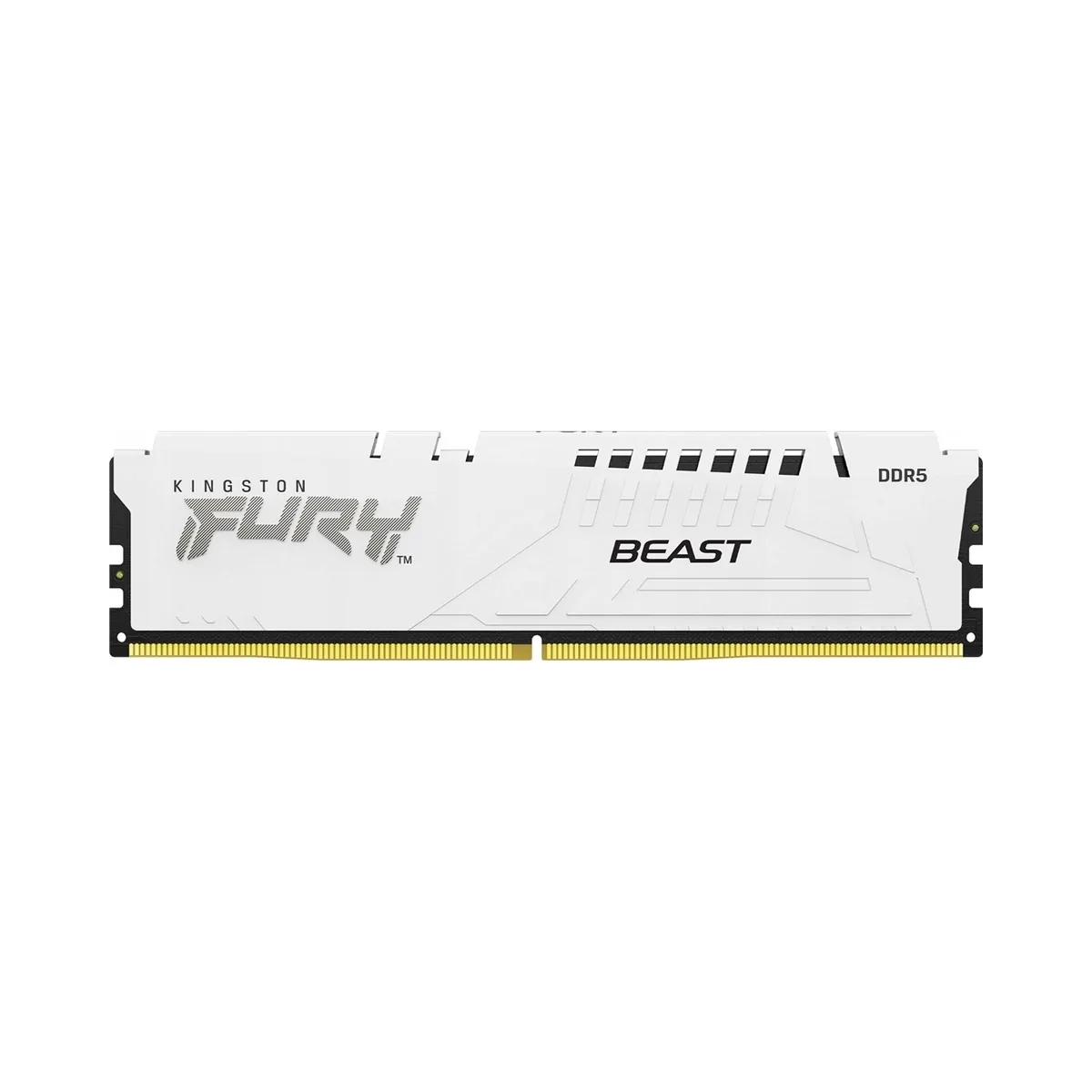 Kingston FURY Beast 16GB DDR5 6400MT/s CL32 EXPO DIMM White