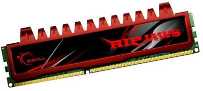 G.Skill Ripjaws 4GB (1x4GB) DDR3-1600 CL9-9-9 1.50V