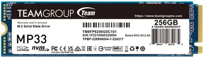Team Group - MP33 256GB - TM8FP6256G0C101