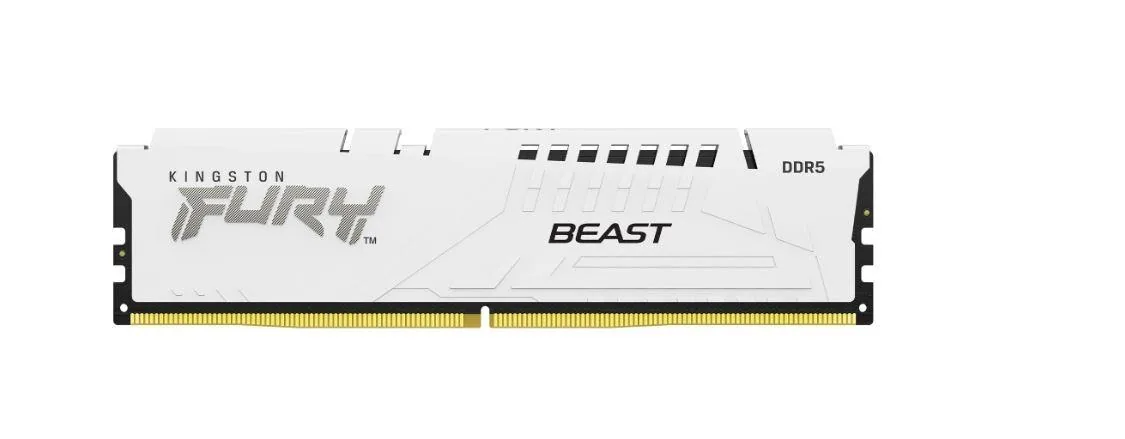 Kingston FURY Beast 32GB DDR5 5600MT/s CL36 EXPO DIMM White